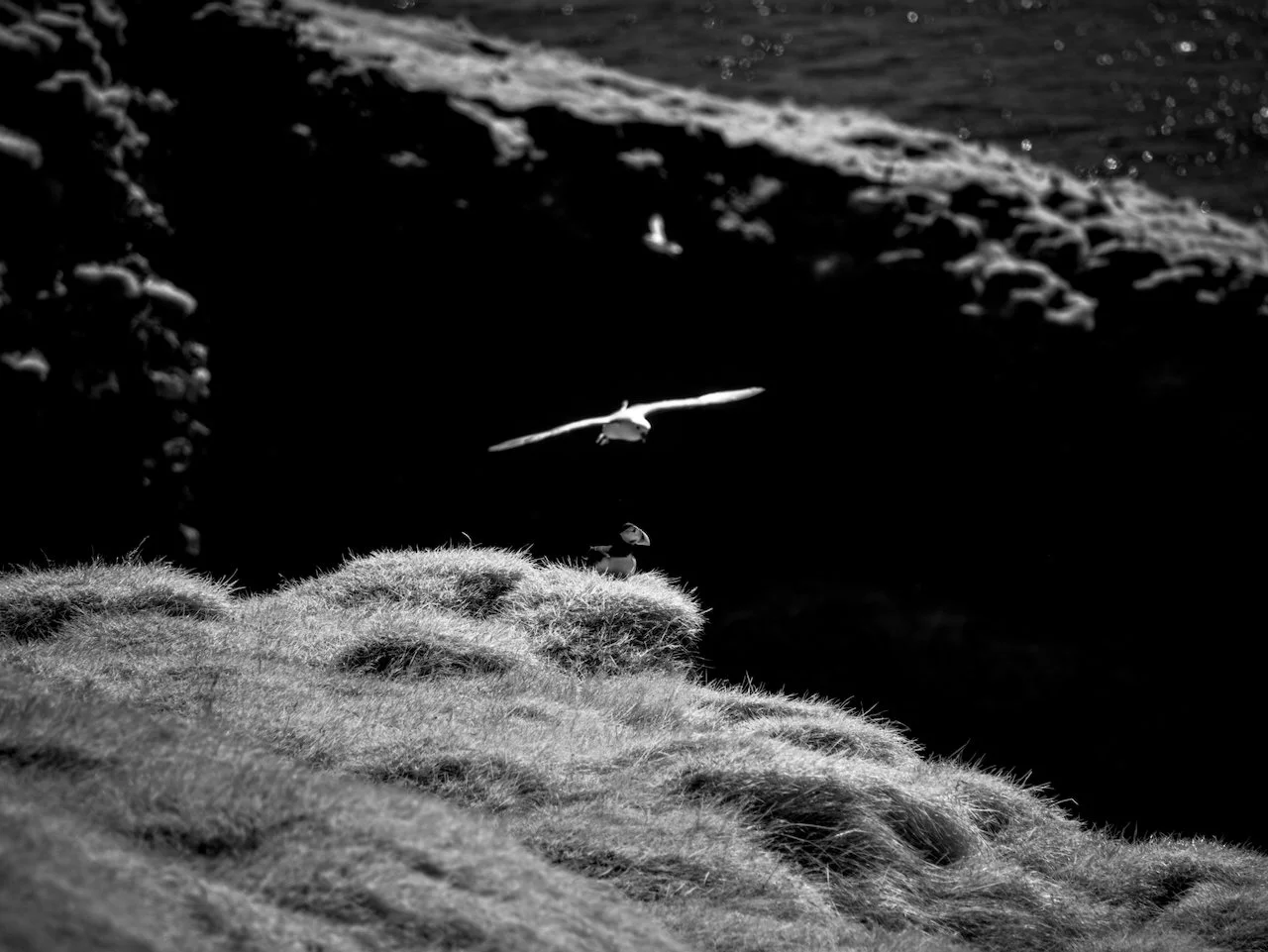 Iceland Prelim - 7.jpeg