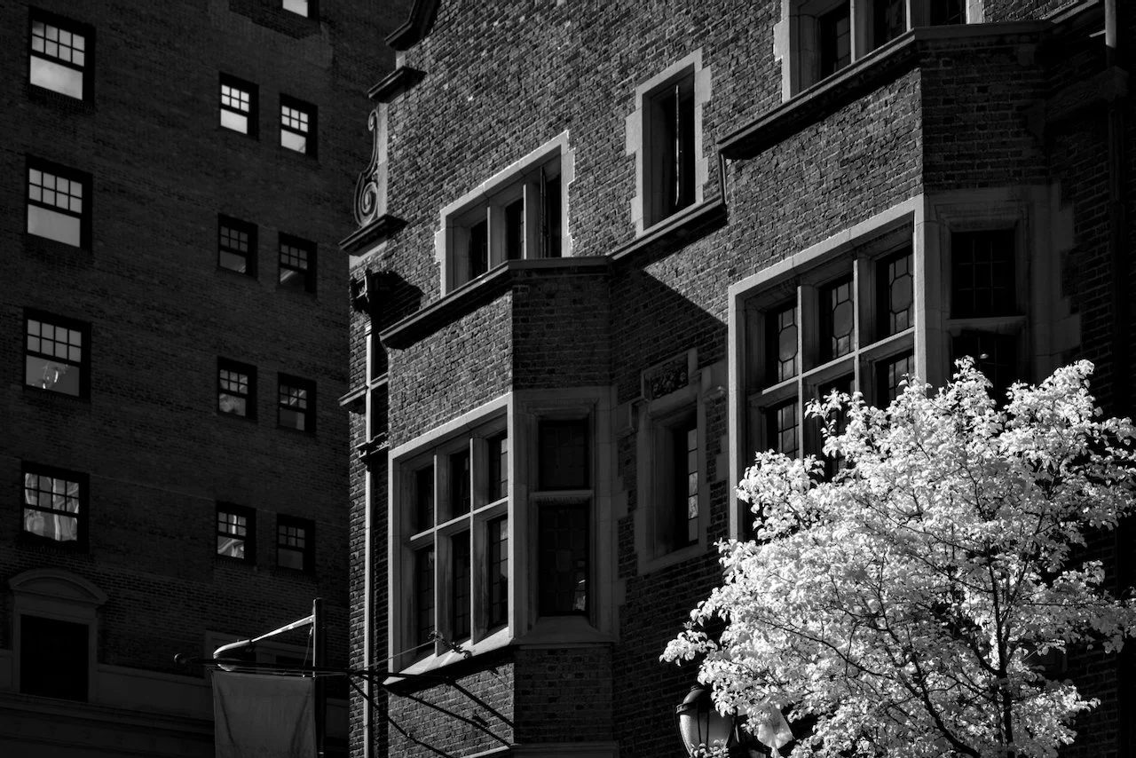 ALL Philly 720 - 5 of 5.jpeg