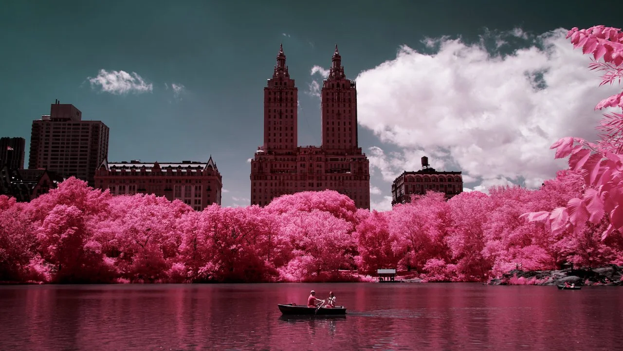 Central Park NYC finals - 13 of 15.jpeg