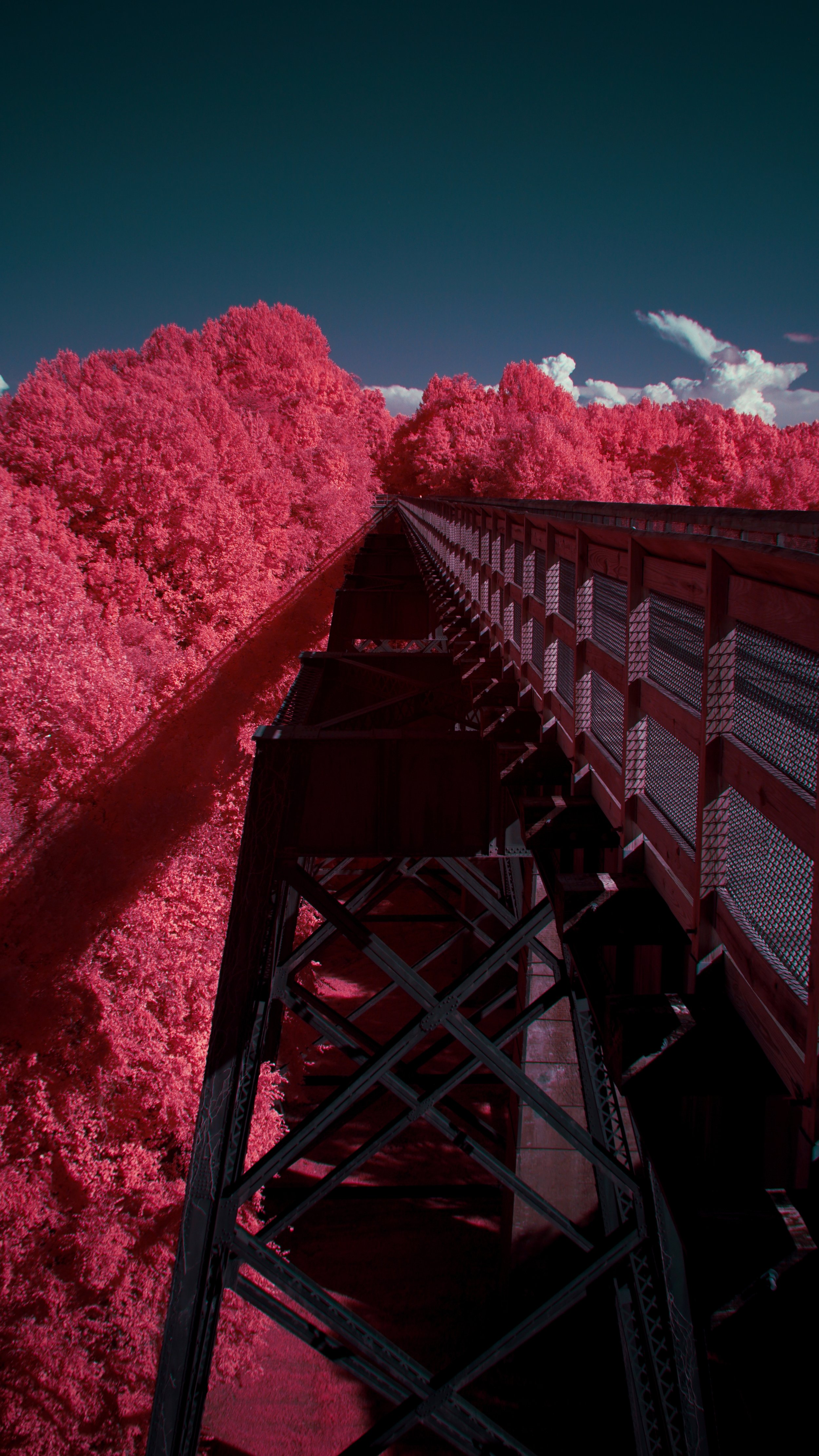 Favorites - 3 of 10.jpeg