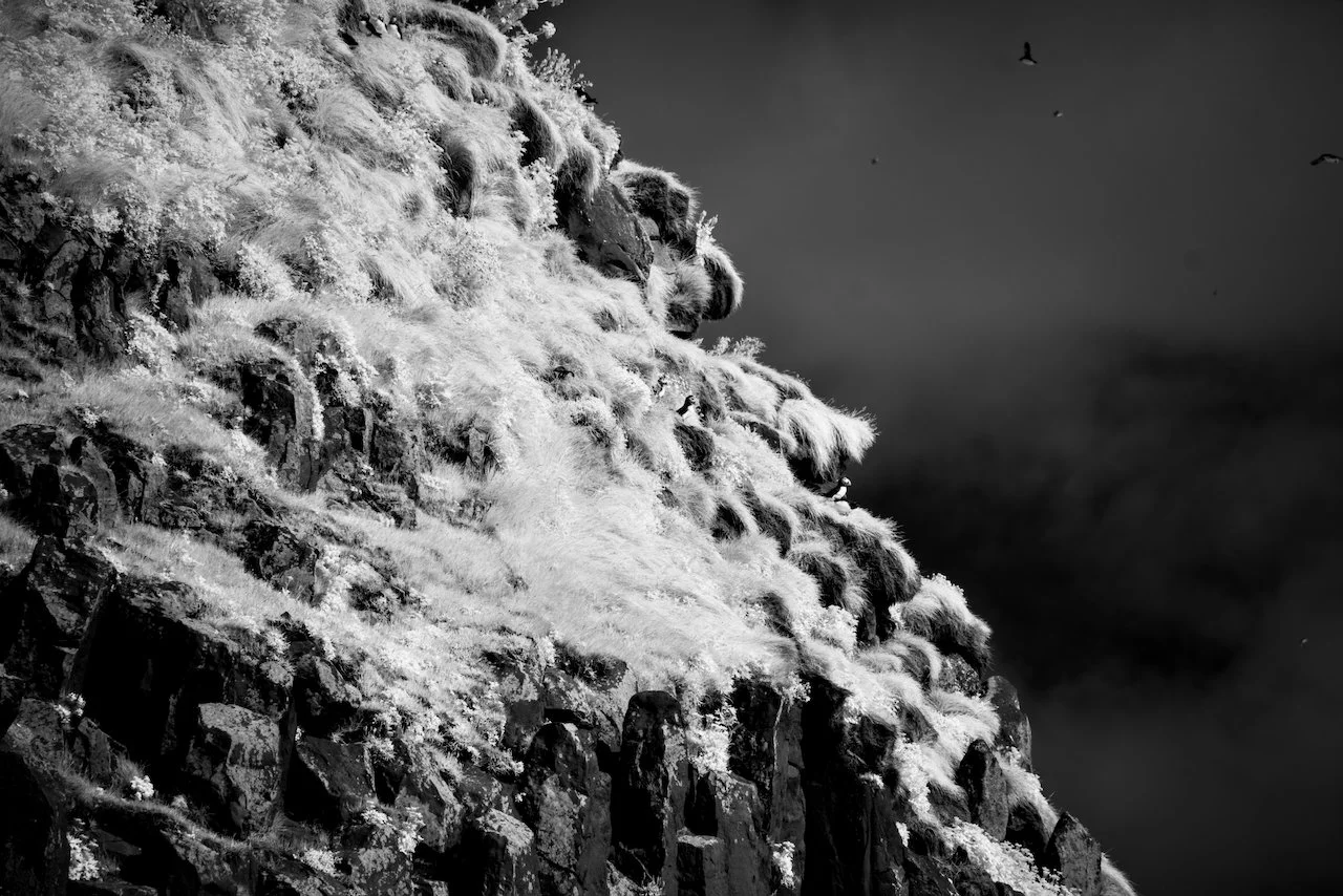 Reynisfjara - 5.jpeg