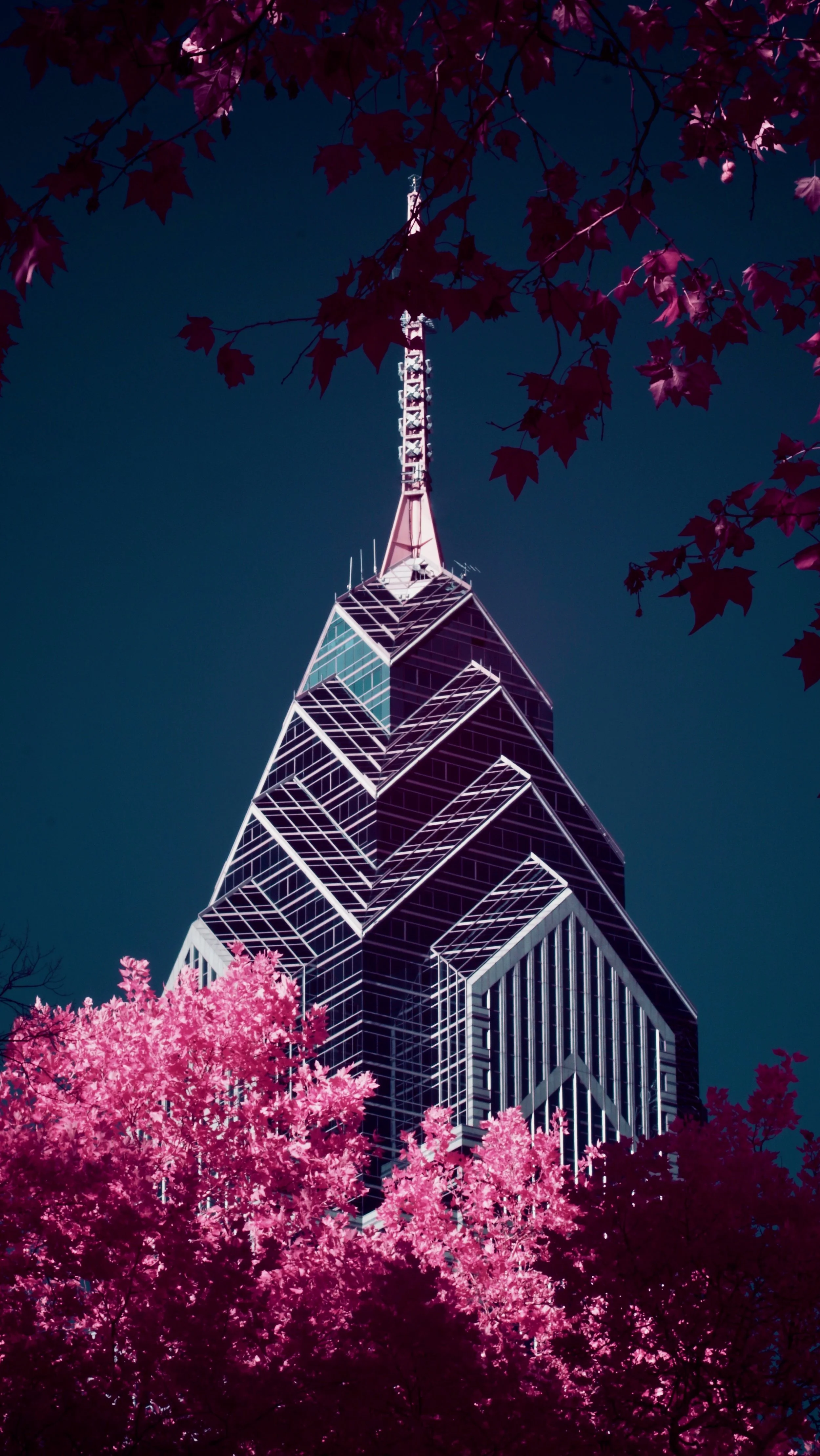 Favorites - 6 of 6.jpeg