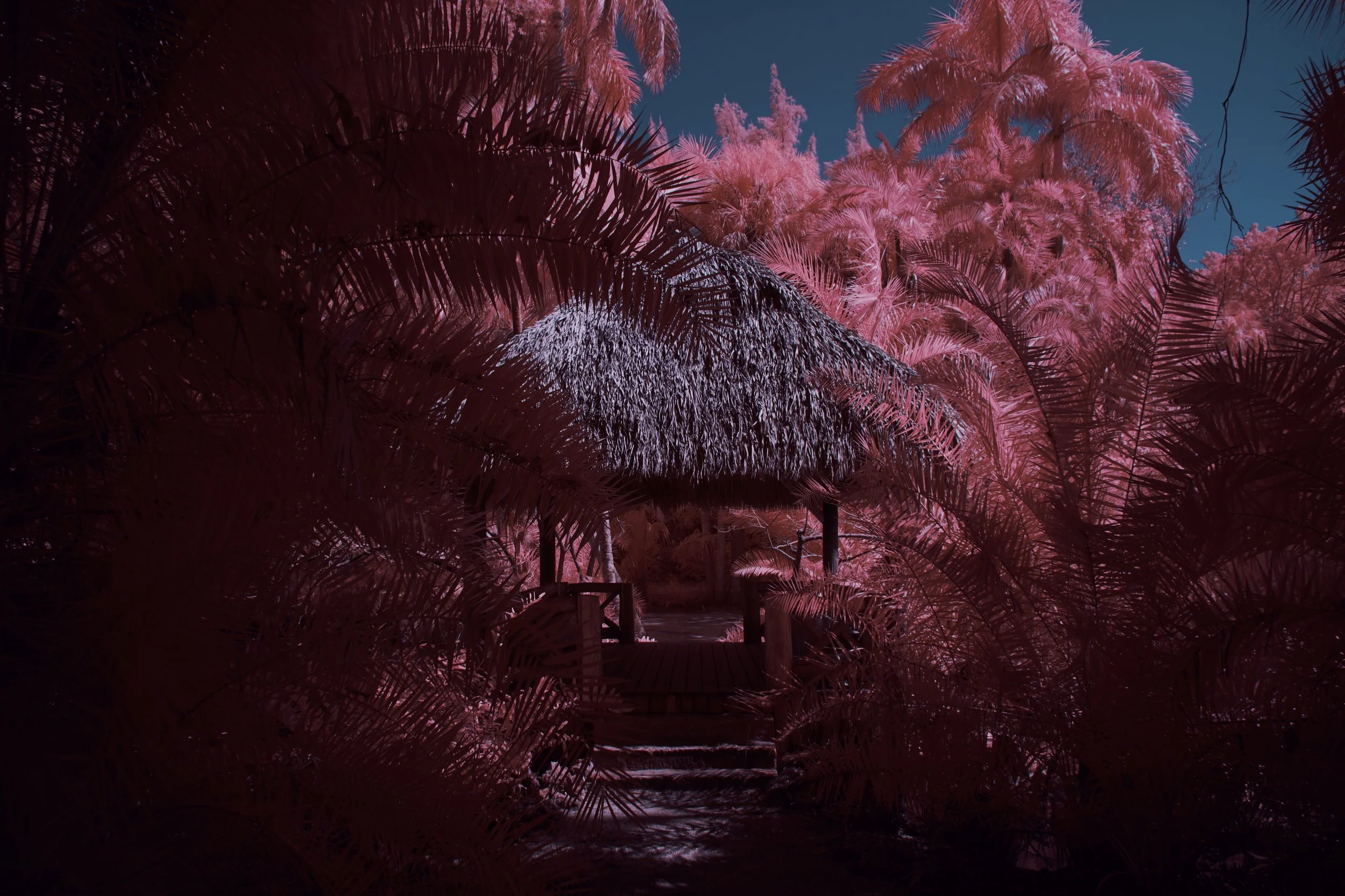 Bonnet House | Fort Lauderdale FL February 2022