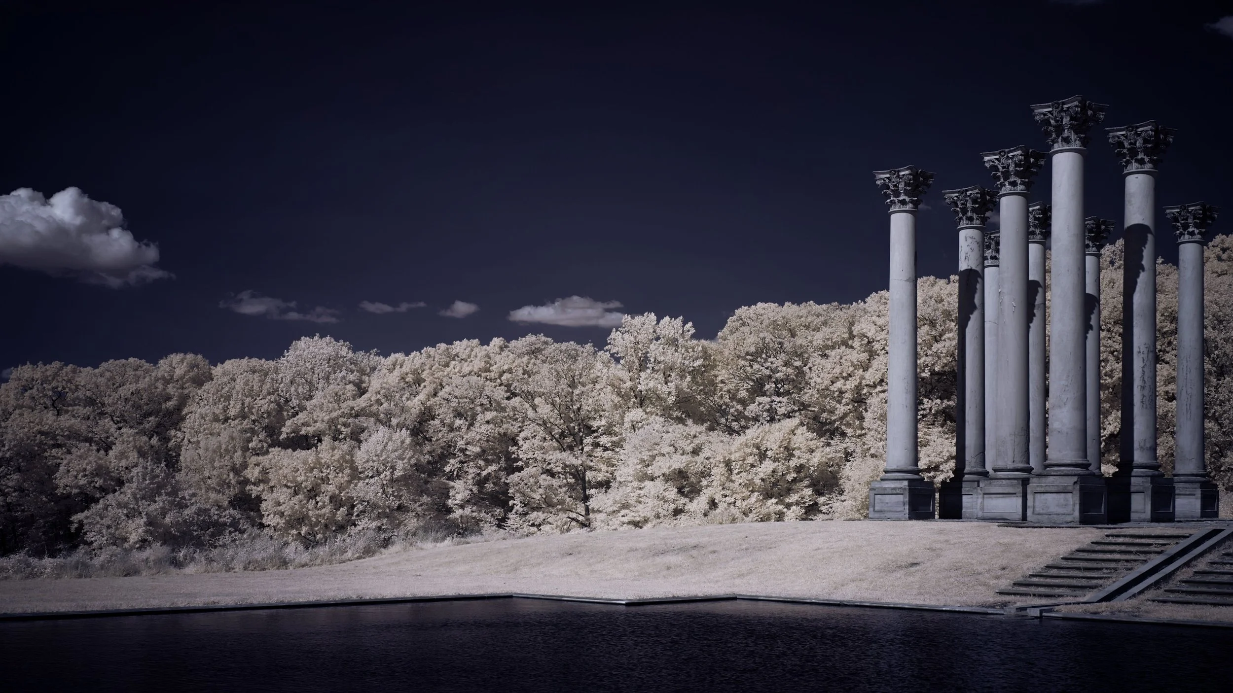 Library - 3 of 7.jpeg