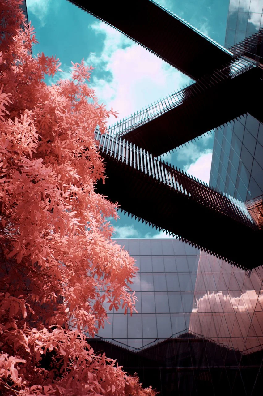 Midtown Center - 7 of 10.jpeg