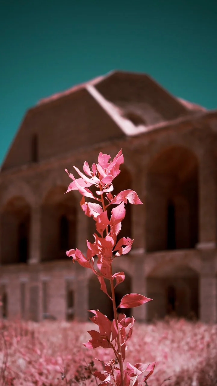 Dry Tortugas - all - 23 of 38.jpeg