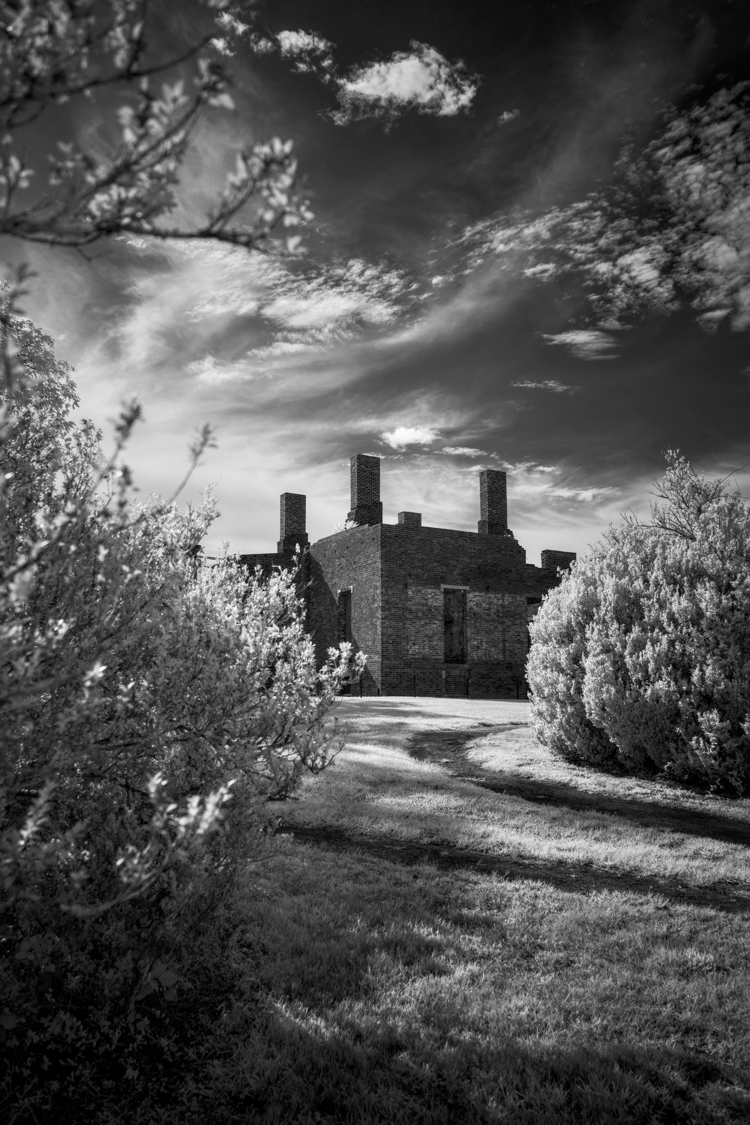 Barboursville Ruins | Barboursville VA August 2023