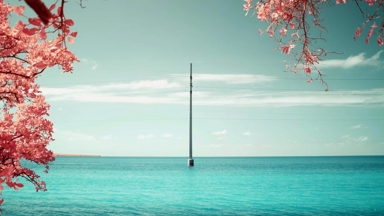 Bolide - 4 of 4.jpeg