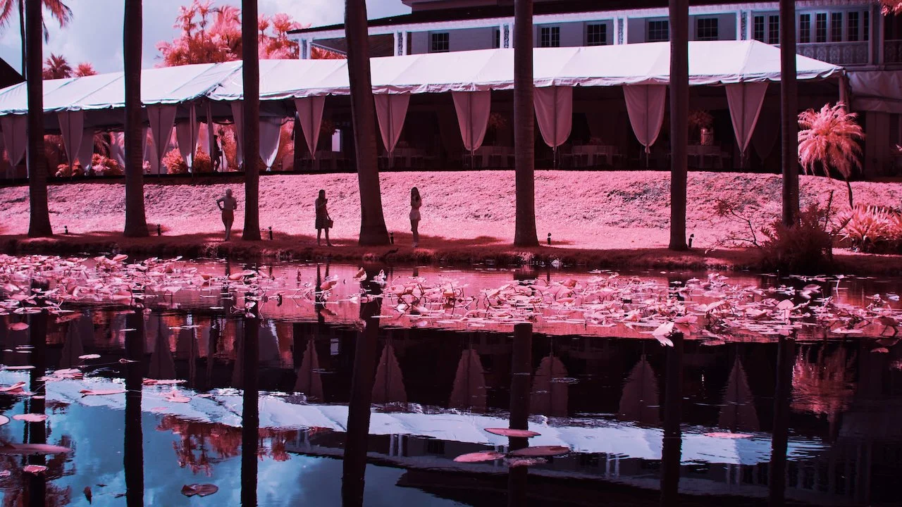 Bolide - 4 of 7.jpeg