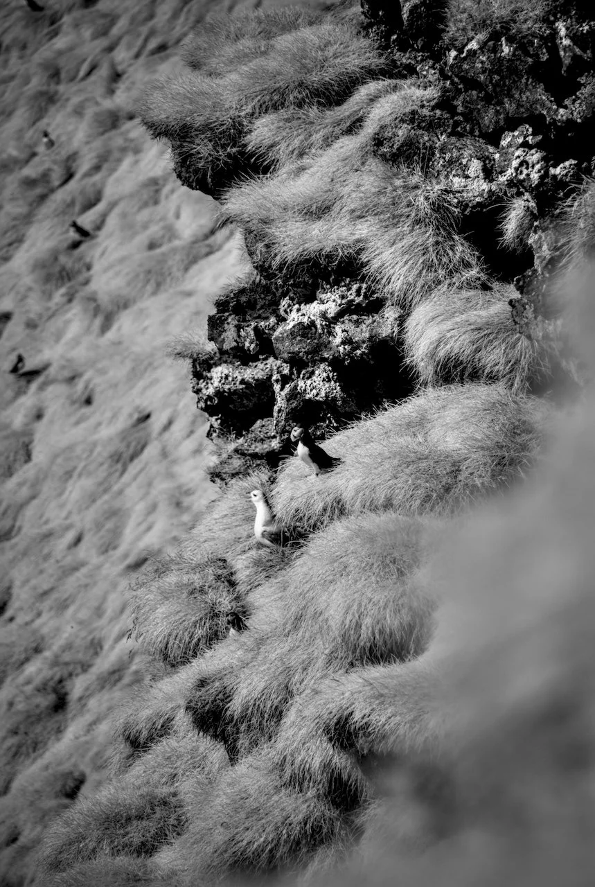 Iceland Prelim - 8.jpeg