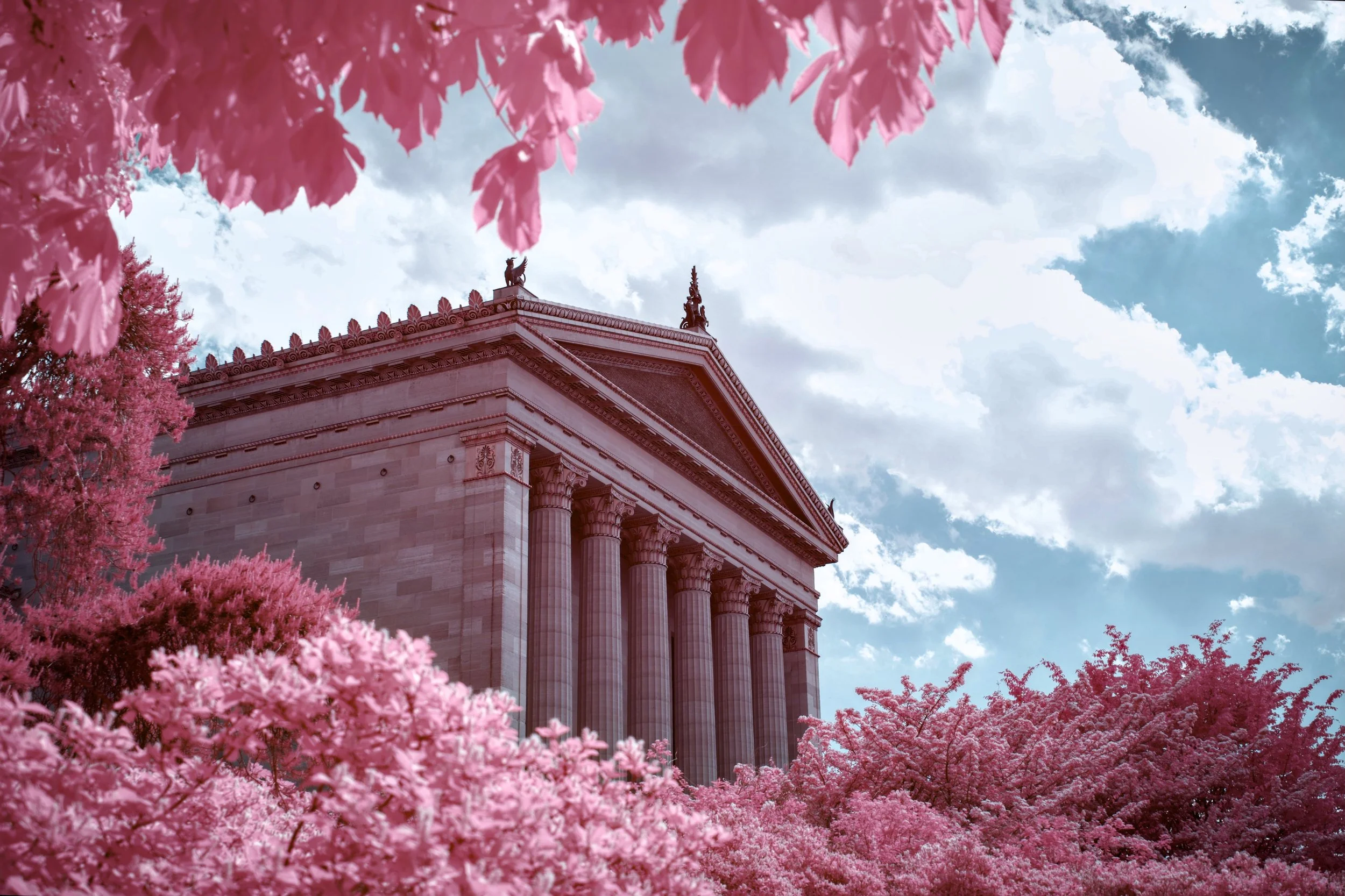 #10 | 590nm | landscape