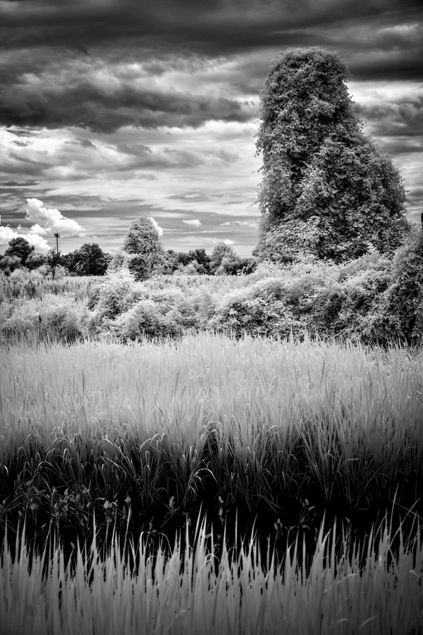 Kenilworth Dark 720nm IR - 8 of 8.jpeg