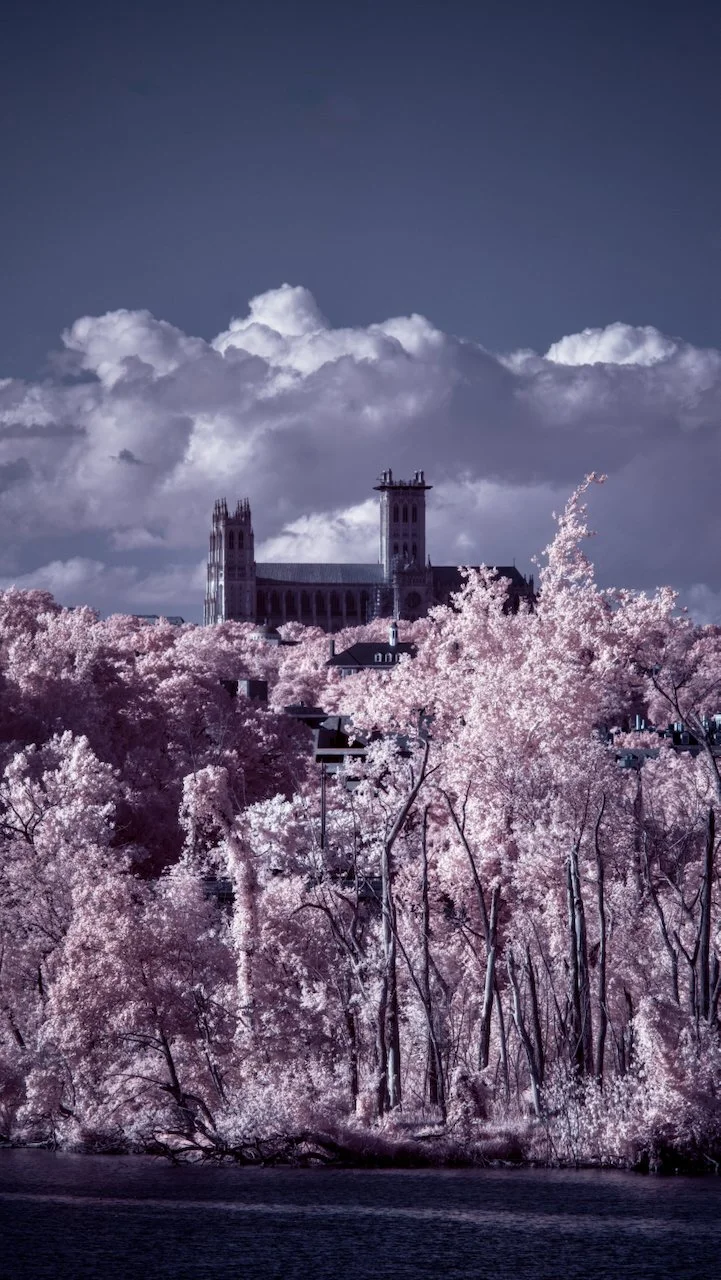 Bolide_720 - 14 of 19.jpeg