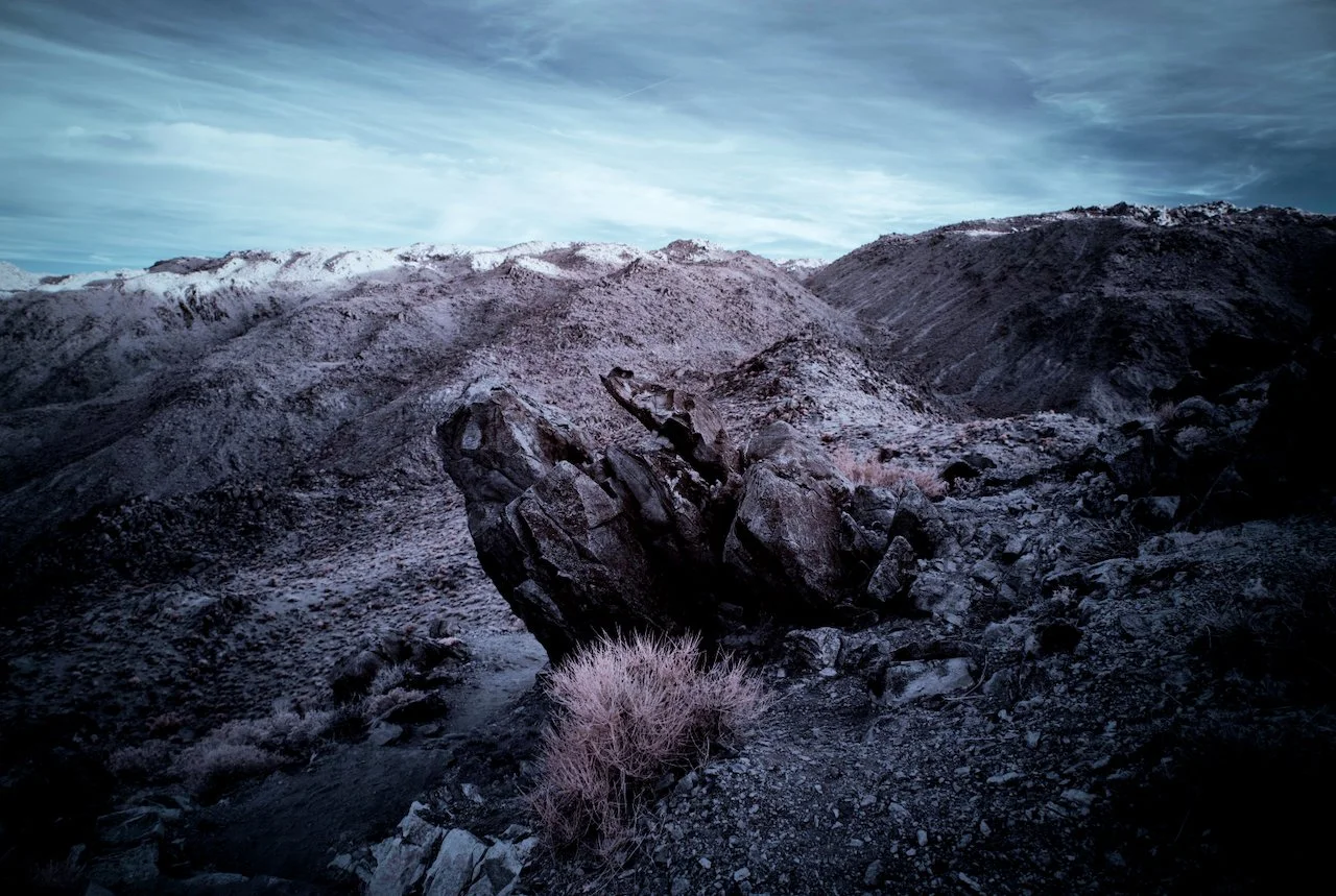 49 Palms Oasis trail