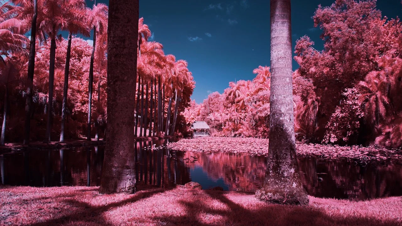 Bolide - 5 of 7.jpeg