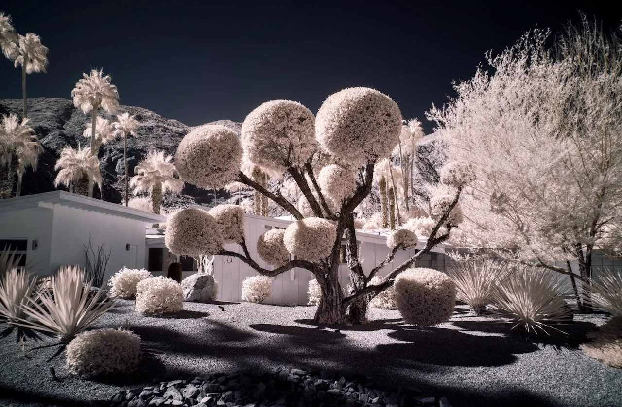 Favorites - 8 of 11.jpeg