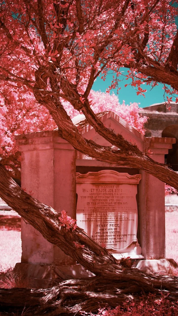 Dry Tortugas - all - 31 of 38.jpeg