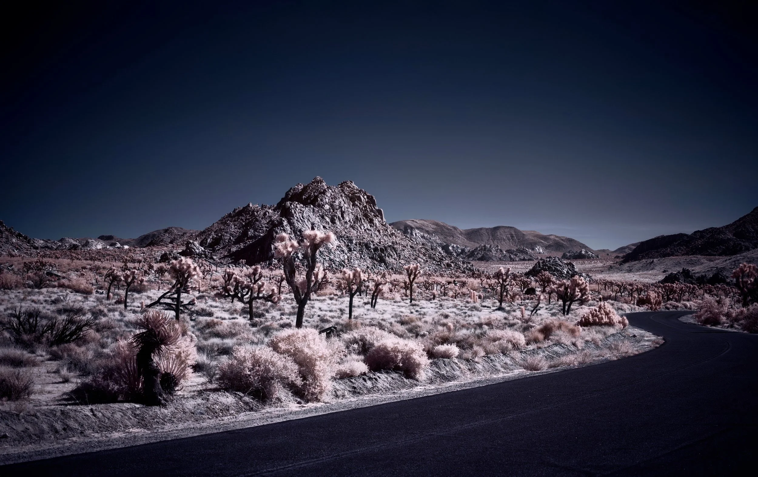 Joshua Tree National Park