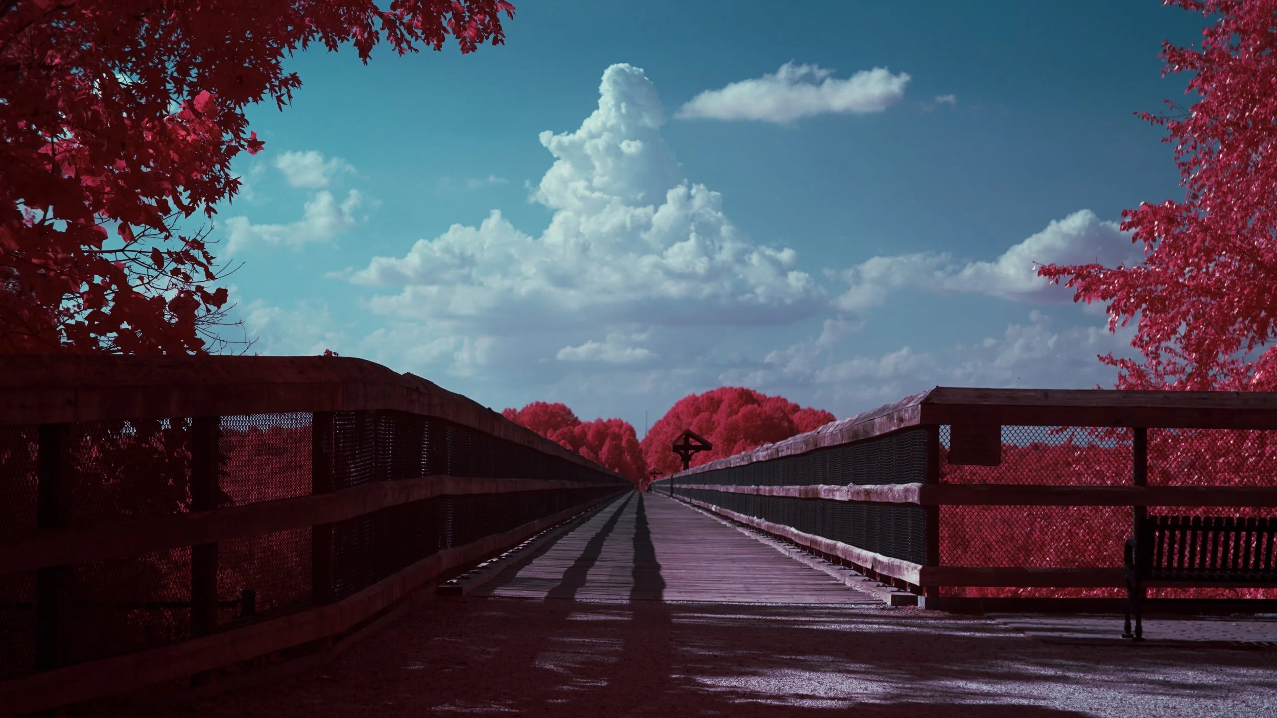 Favorites - 1 of 10.jpeg