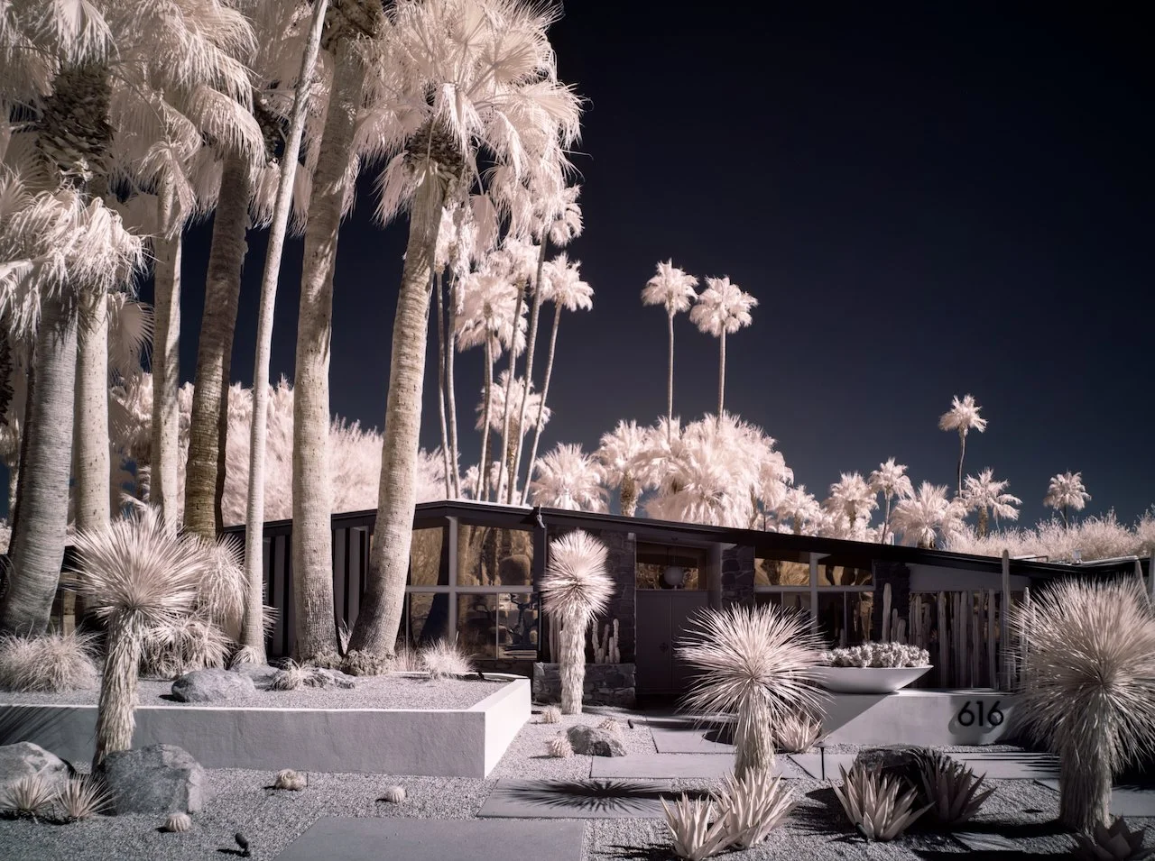 Favorites - 9 of 11.jpeg