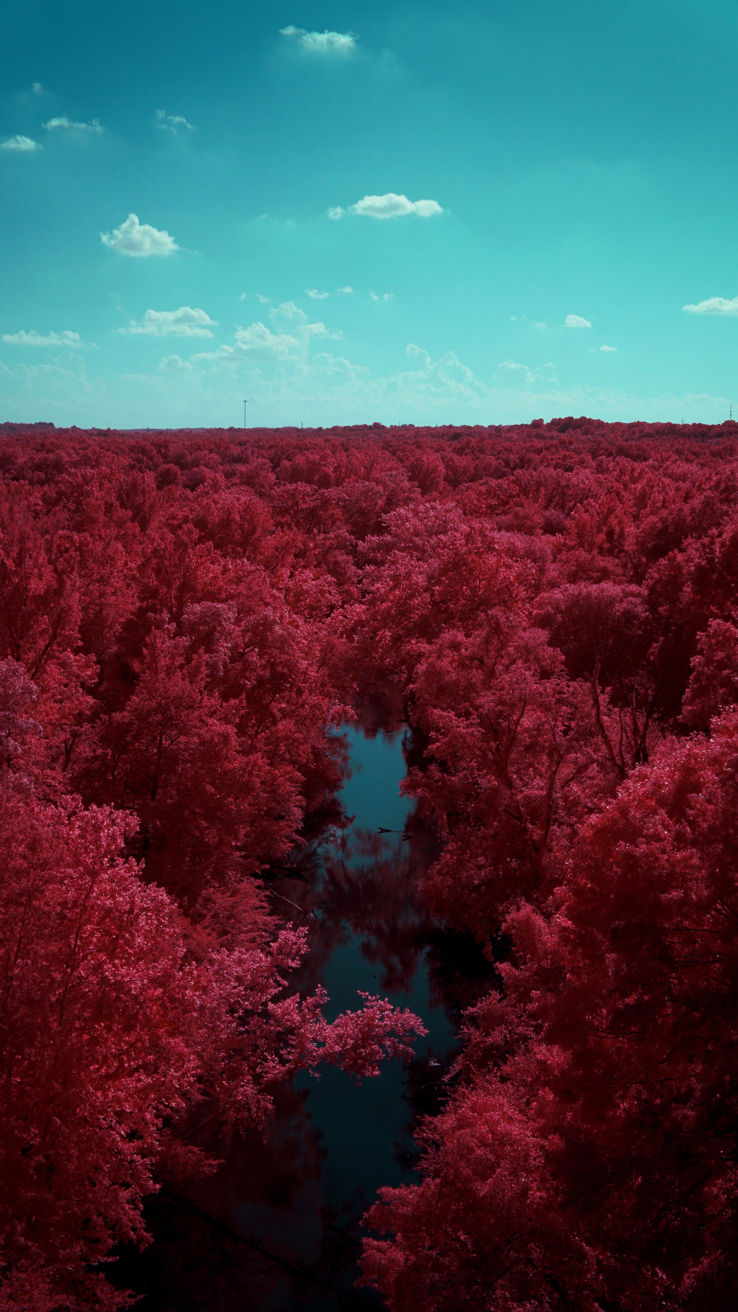 Favorites - 4 of 10.jpeg