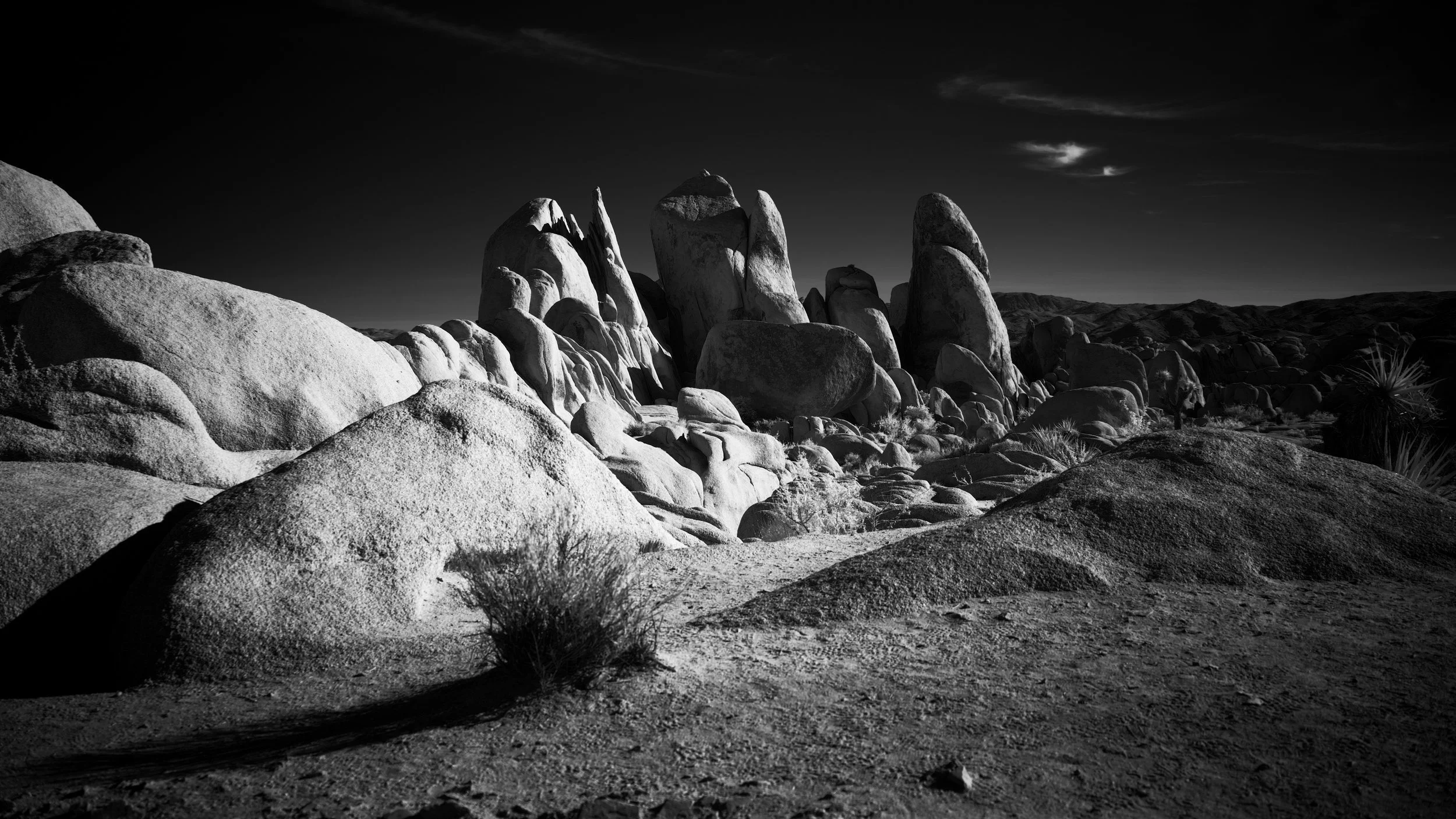 Joshua Tree National Park