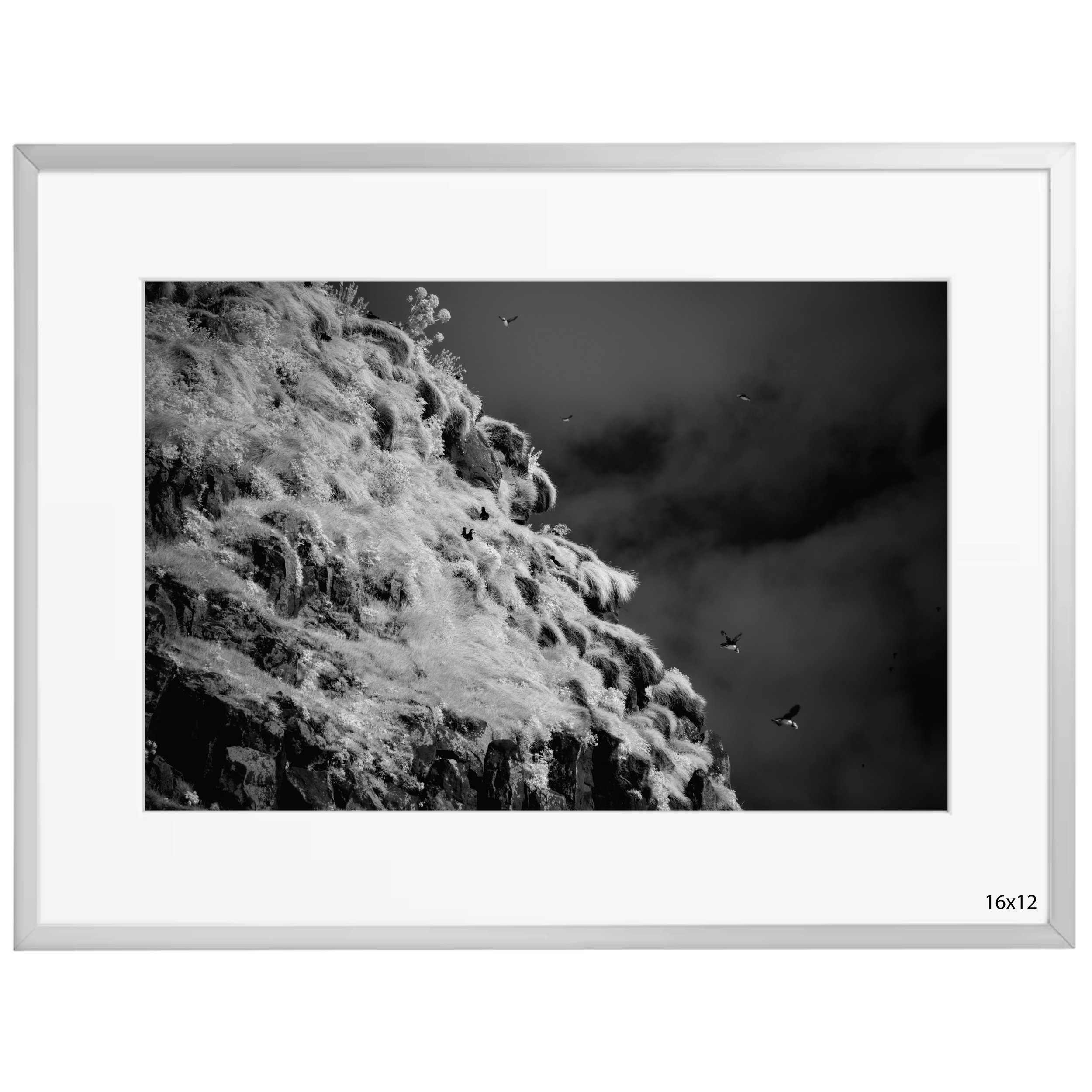 Framed Reynisfjara 3 (#21).jpg