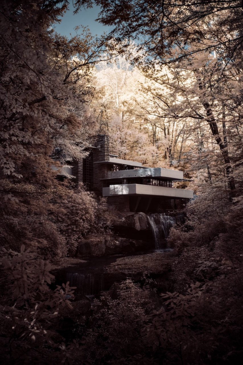 Library - 7 of 11.jpeg