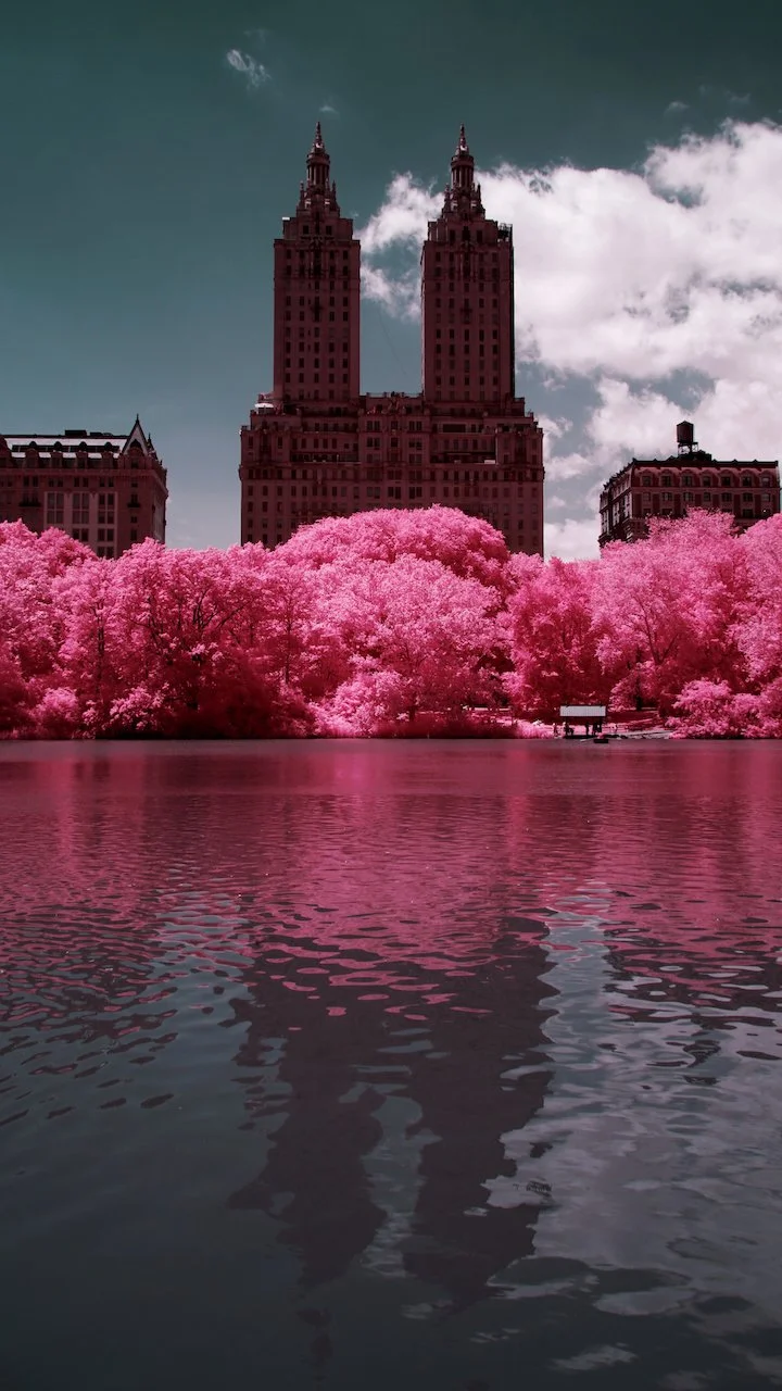 Central Park NYC finals - 14 of 15.jpeg