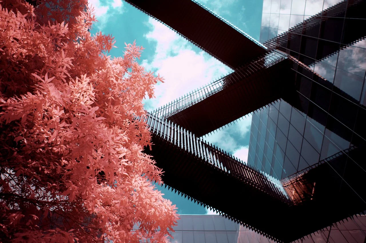 Midtown Center - 6 of 10.jpeg