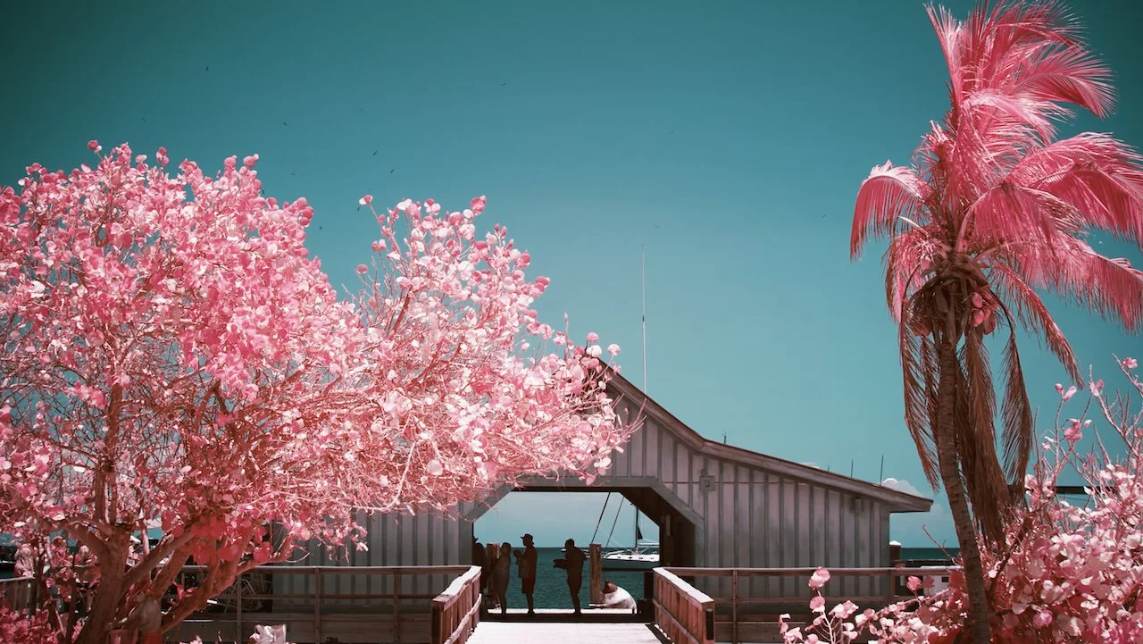 Dry Tortugas - all - 34 of 38.jpeg