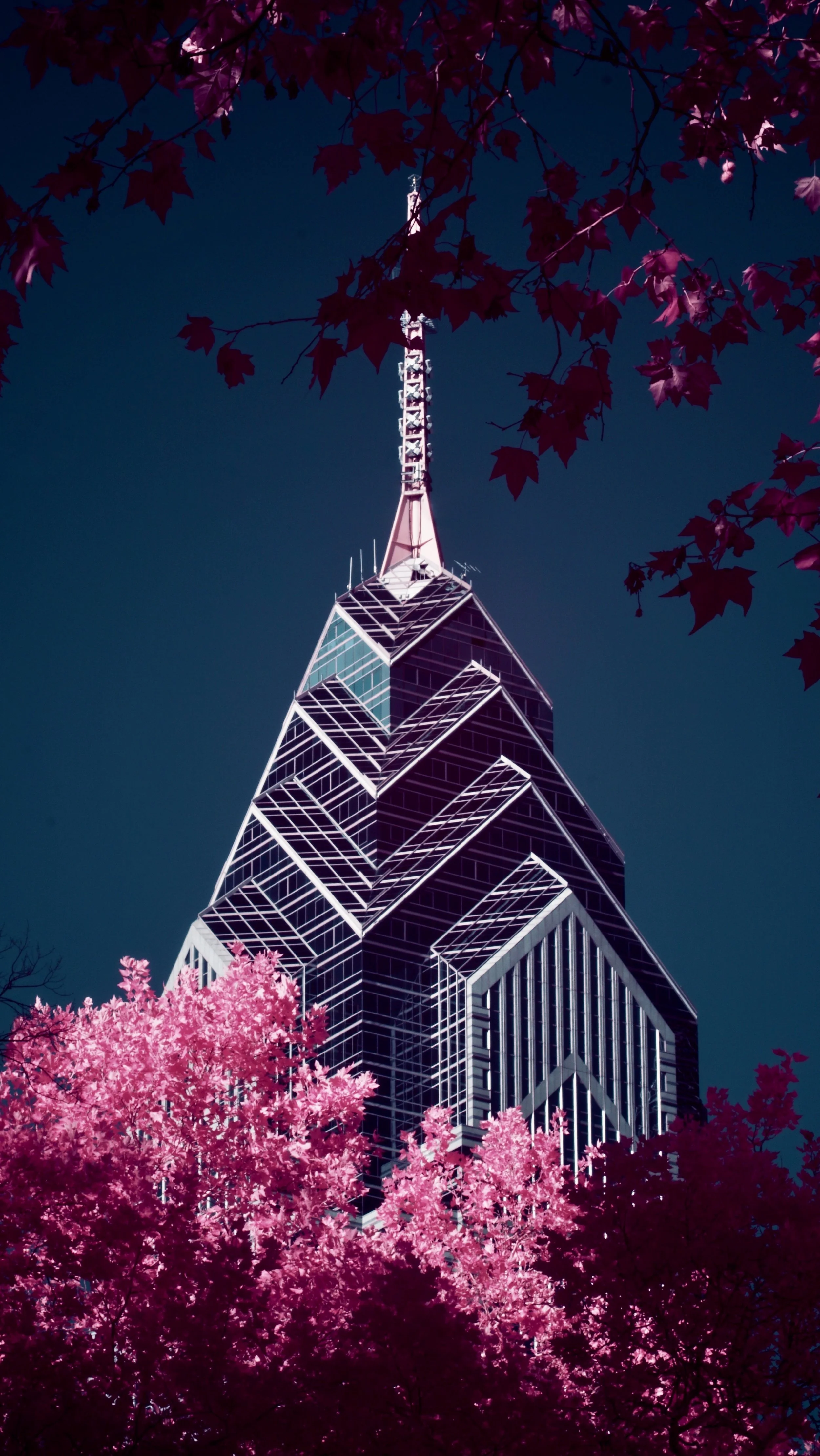 #4 | 590nm | portrait