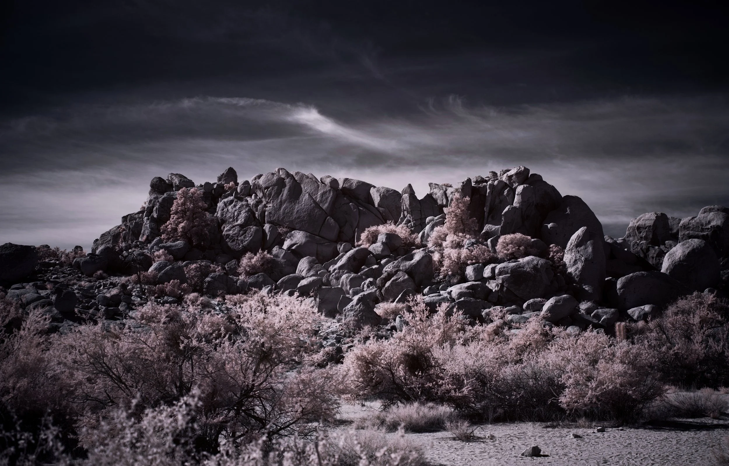 PUBLISH - 15 of 45.jpeg