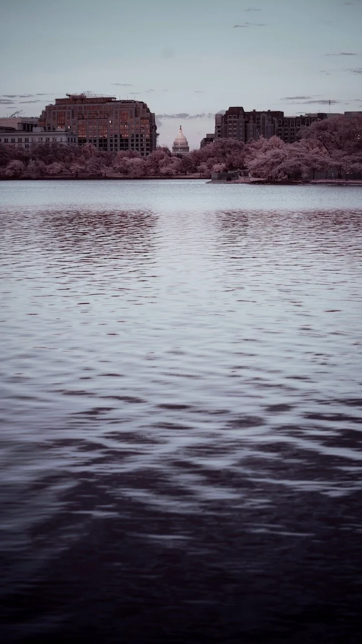 Library - 3 of 11.jpeg