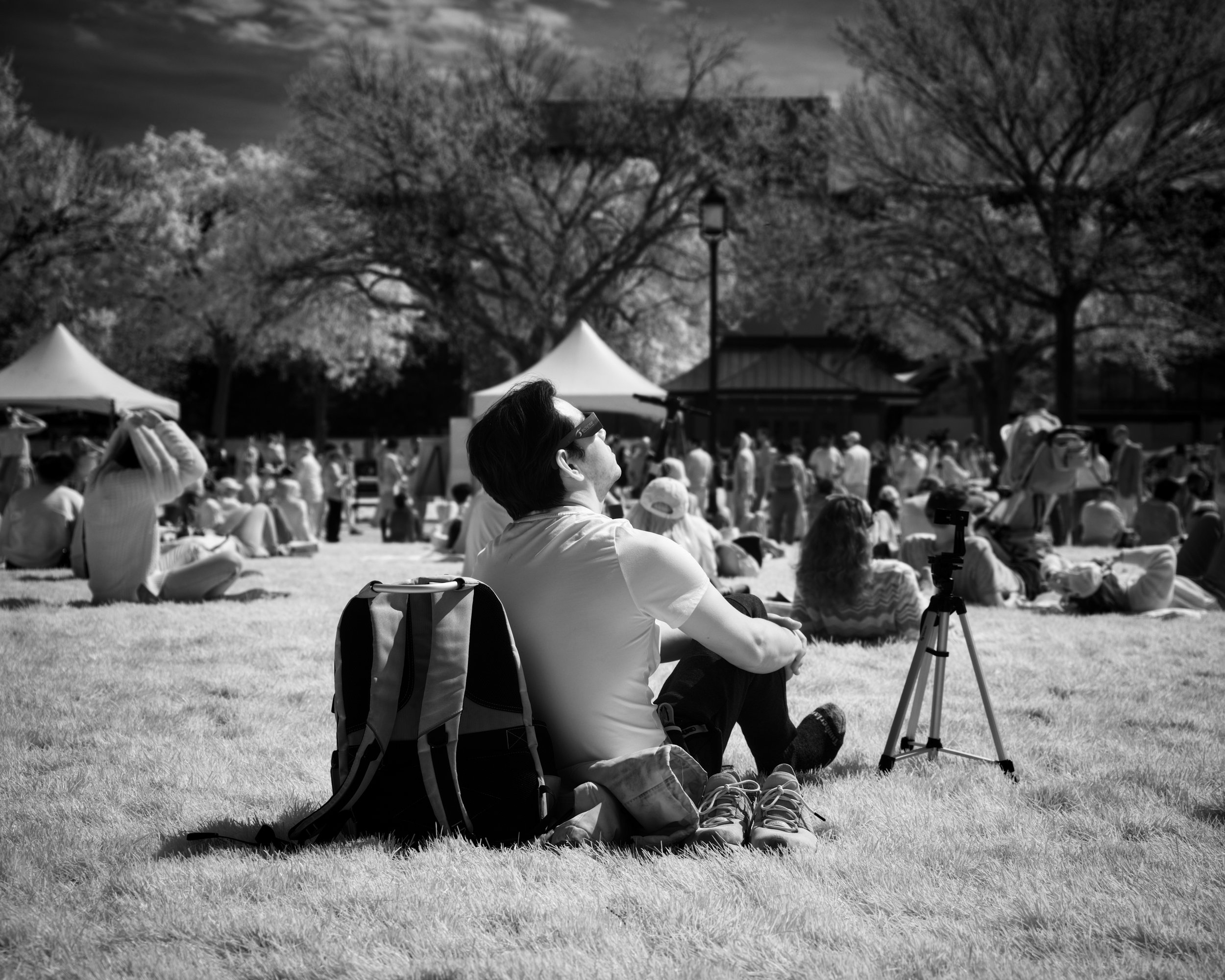 Eclipse 2024 series - 8 of 10.jpeg