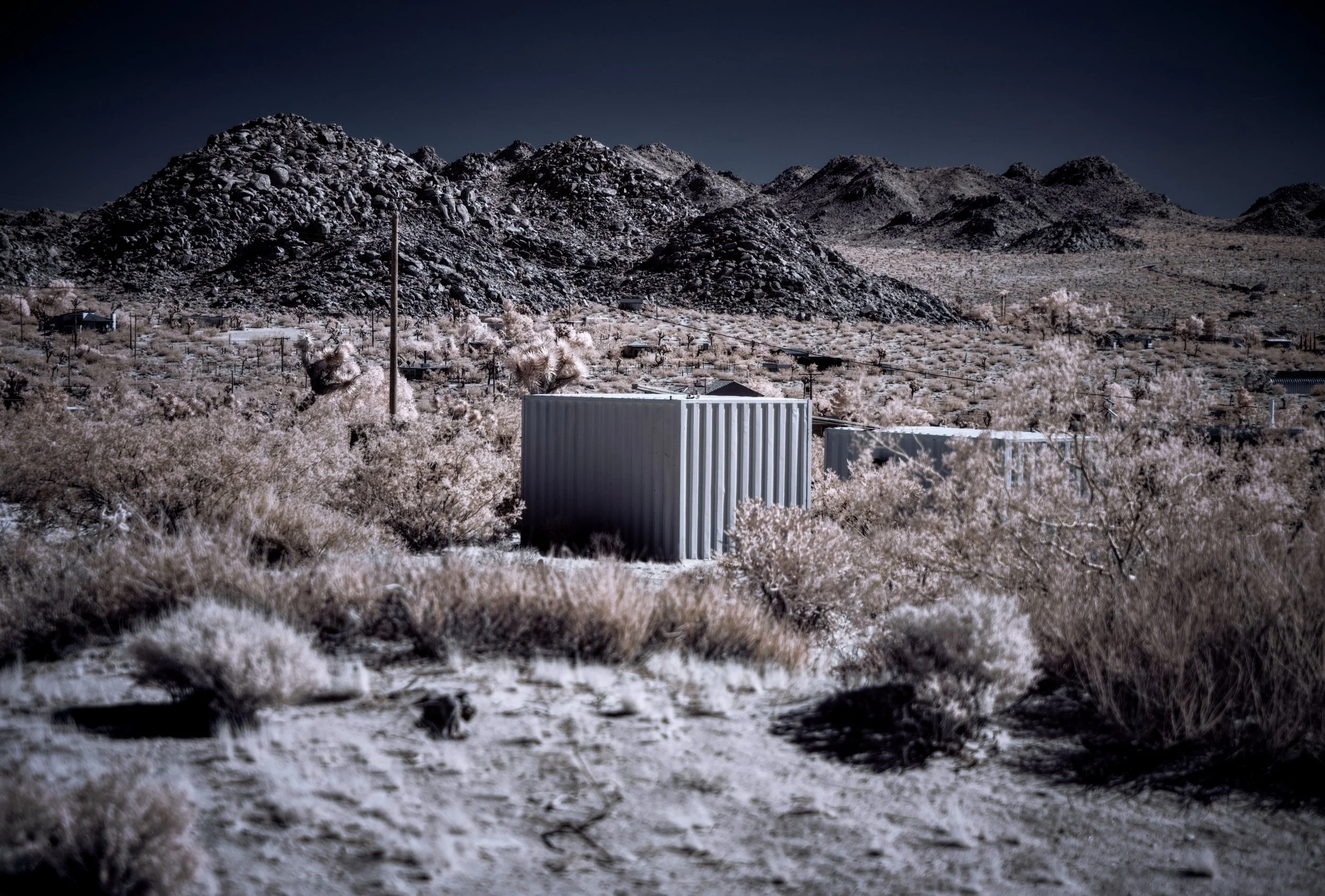 Joshua Tree landscape