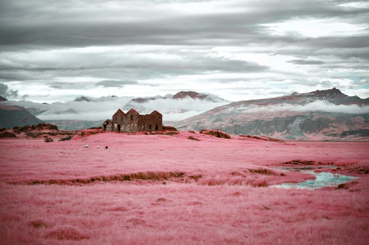 Iceland Prelim - 17.jpeg