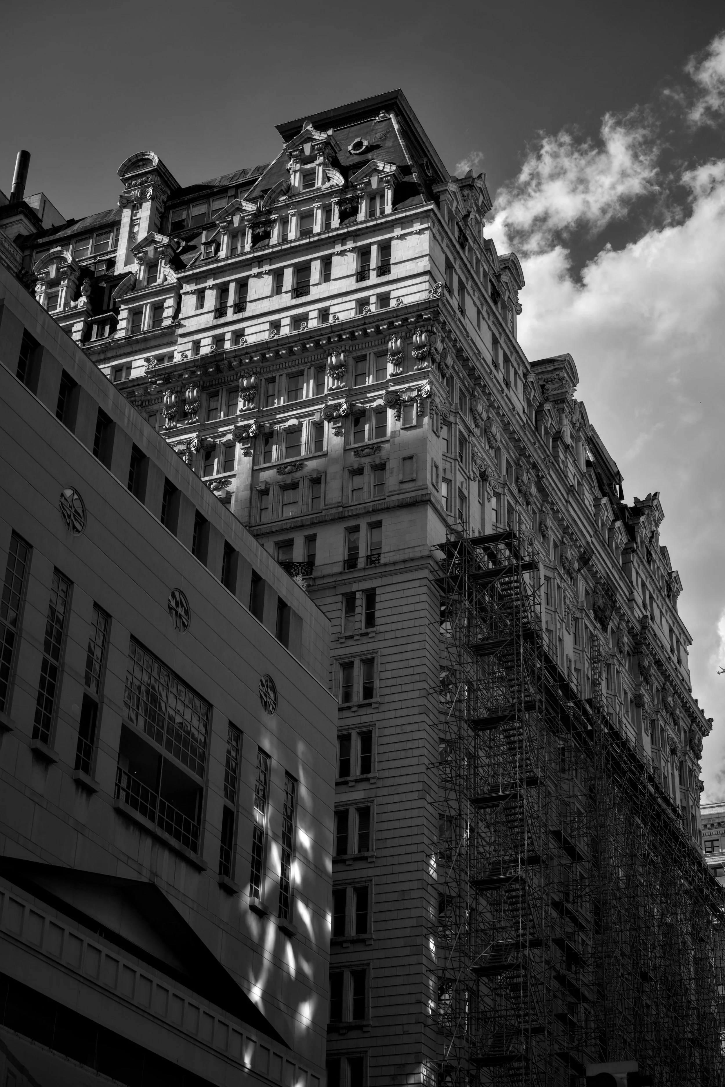 #24 | 720nm mono | portrait