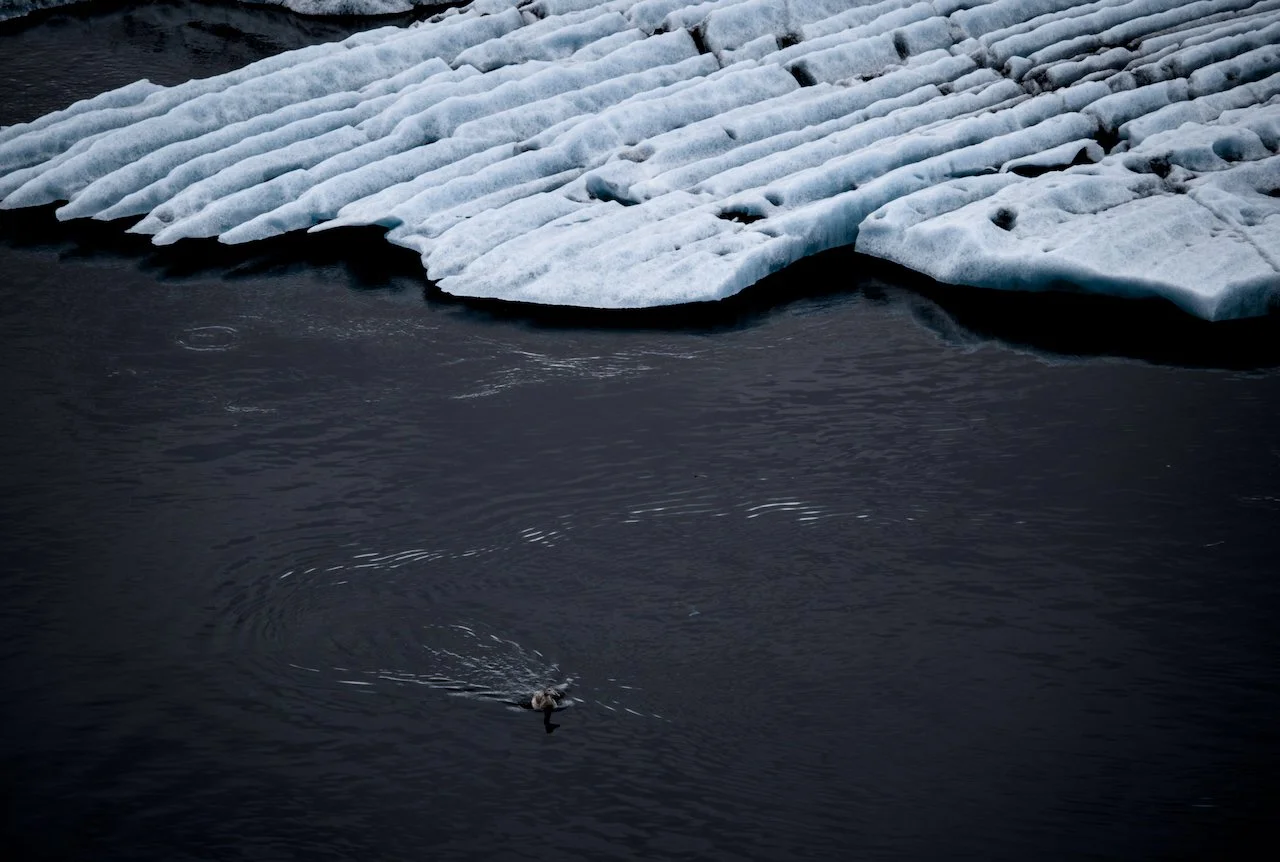 Iceland Prelim 2 - 1.jpeg