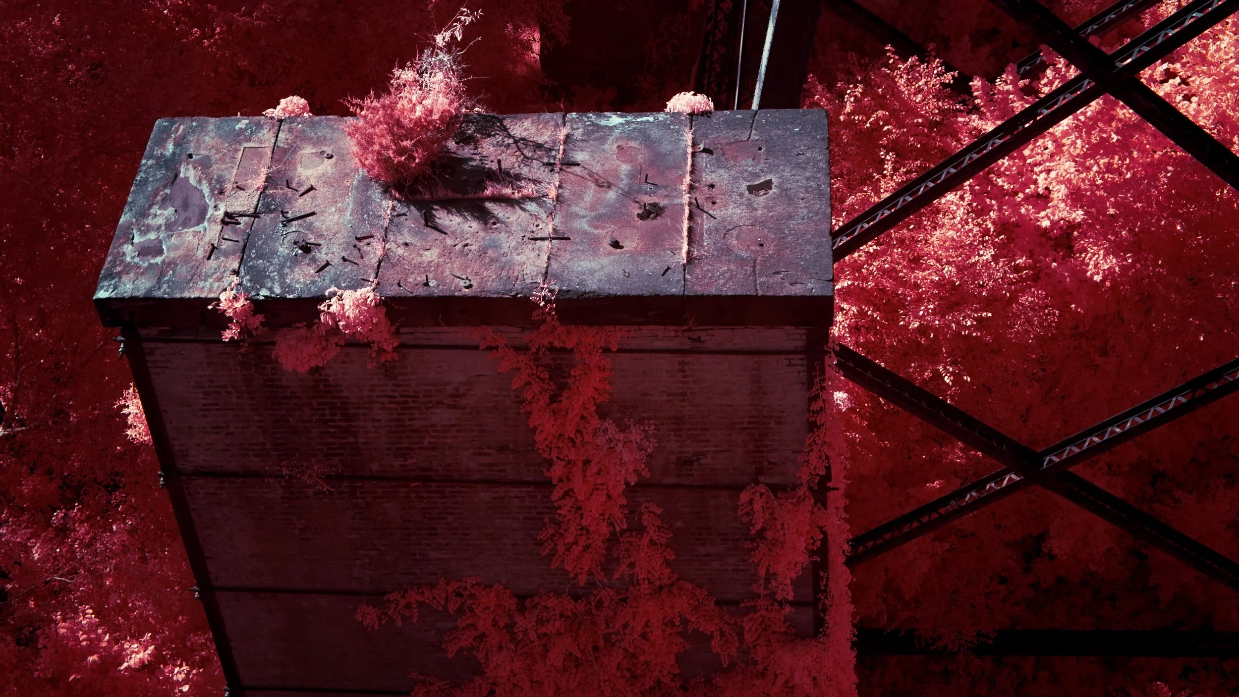 Favorites - 5 of 10.jpeg