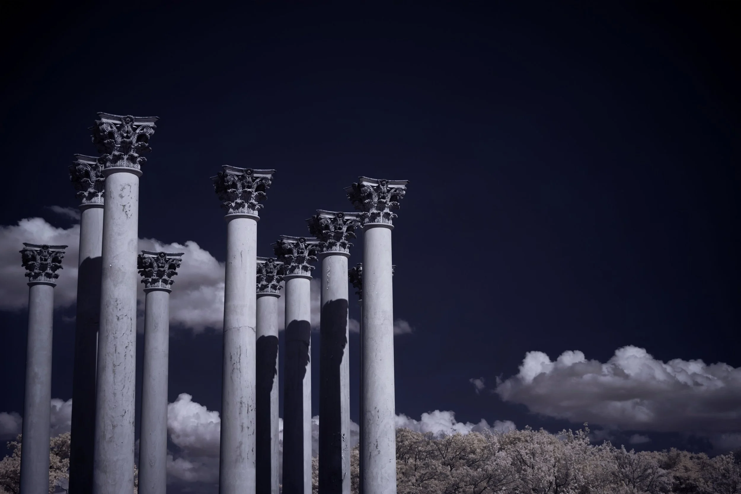 Library - 2 of 7.jpeg