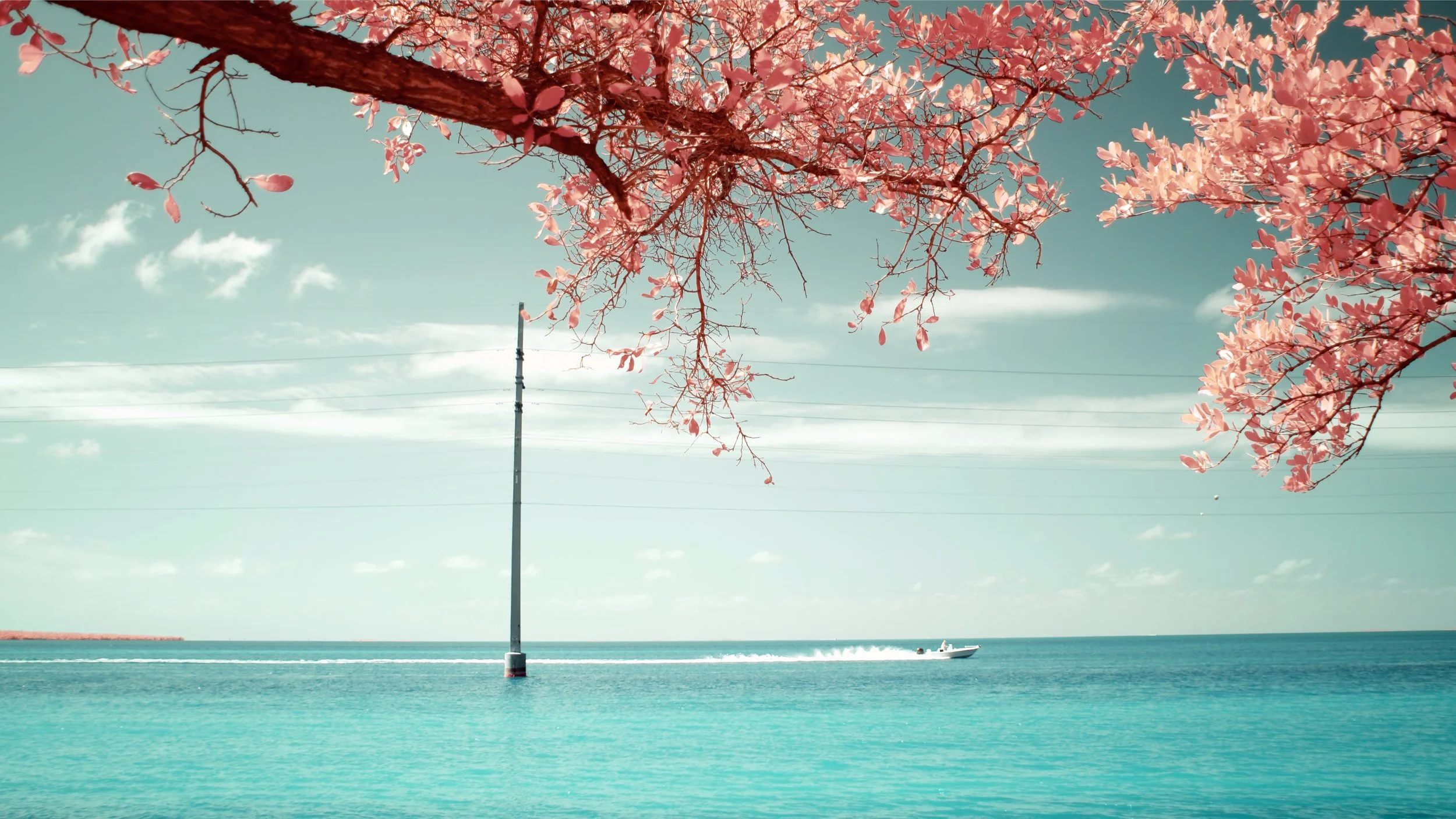 Overseas Highway, FL