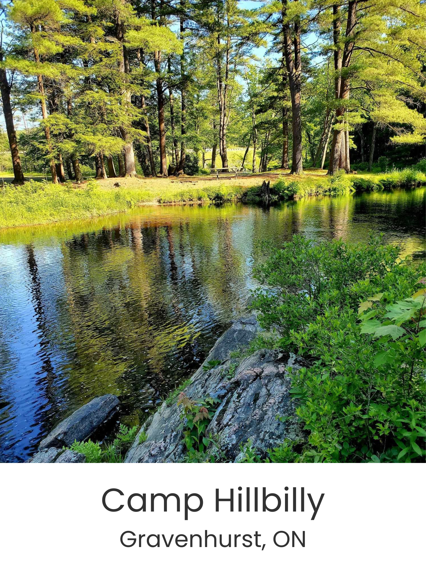 Your paragraph text.png