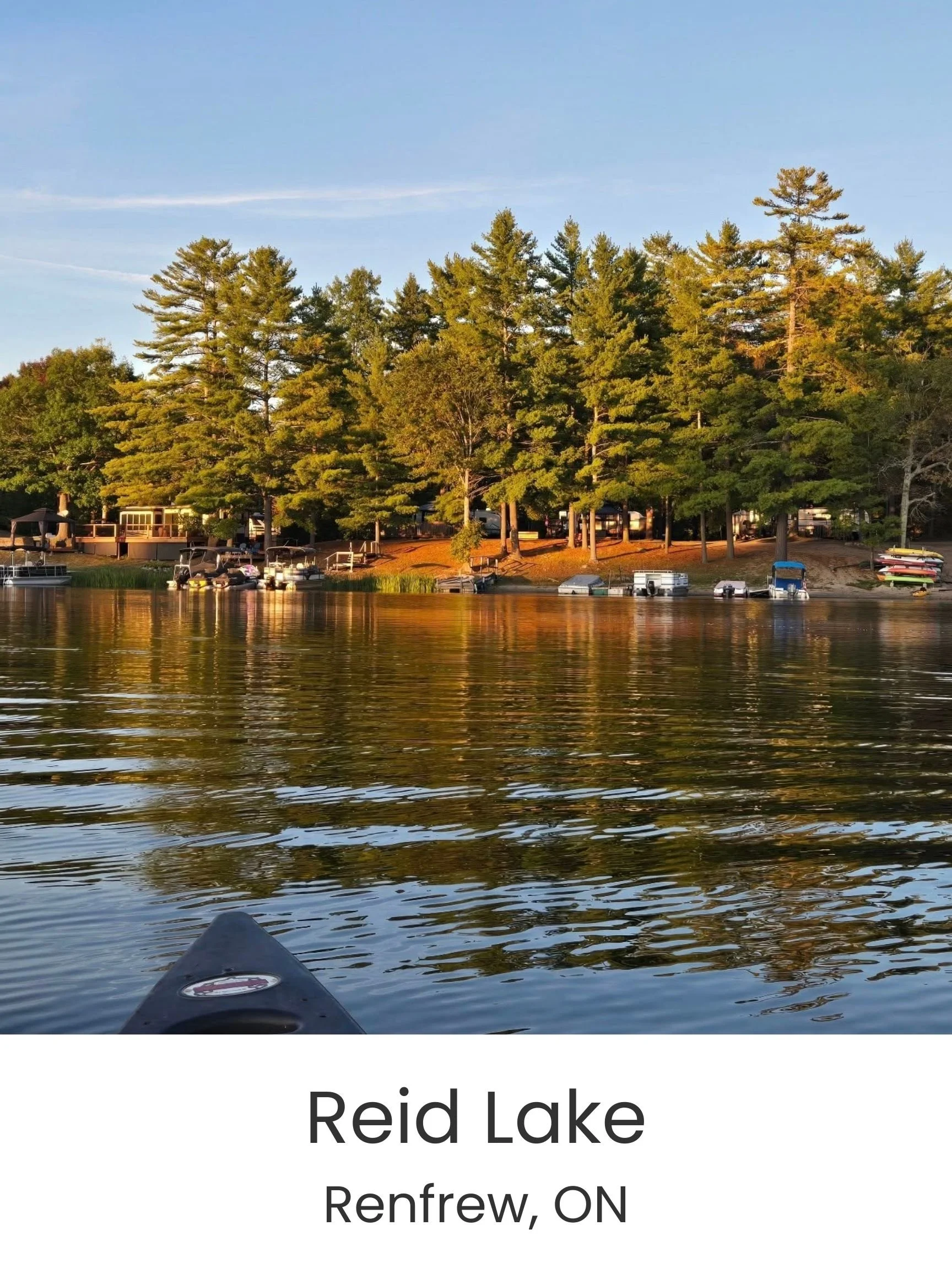 Your paragraph text (12).jpg