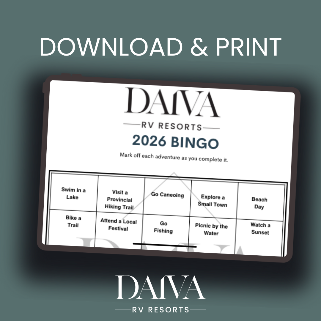 2026 Bingo Adventures
