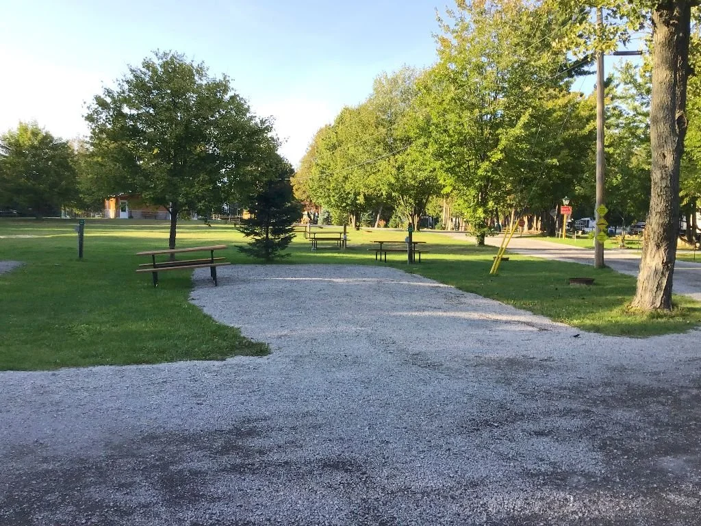 Public park with picnic tables and trees