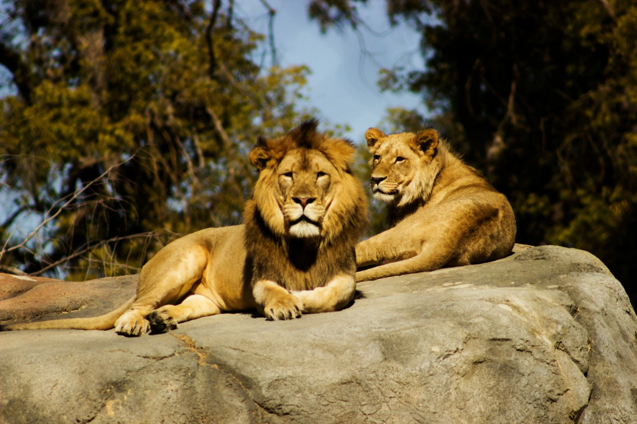 What’s the Difference Between a Protective Partner and a Jealous One?