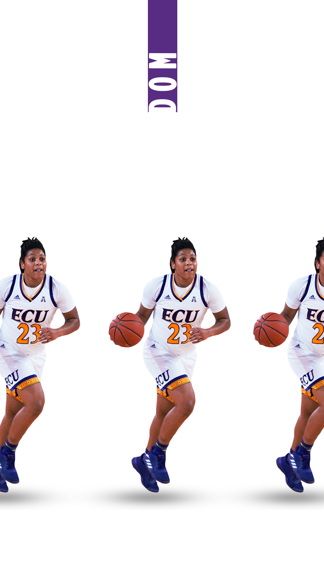 WHITE.png