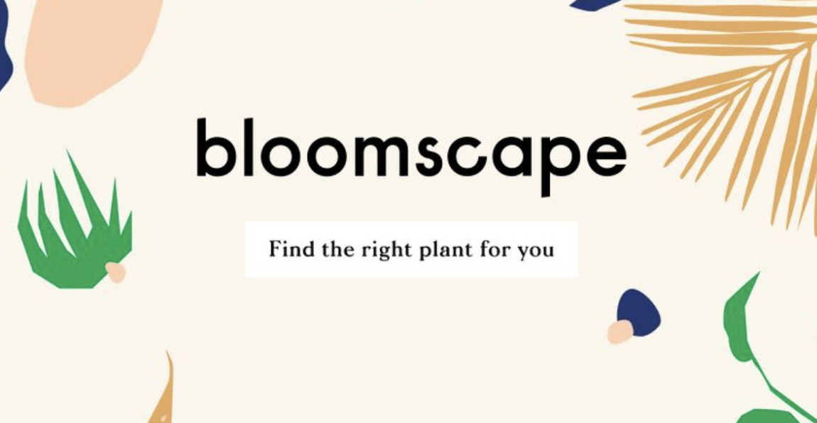 Bloomscape : Get $10 Off Your First Bloomscape Order Over $50 & Free Shipping On Orders Over $75!