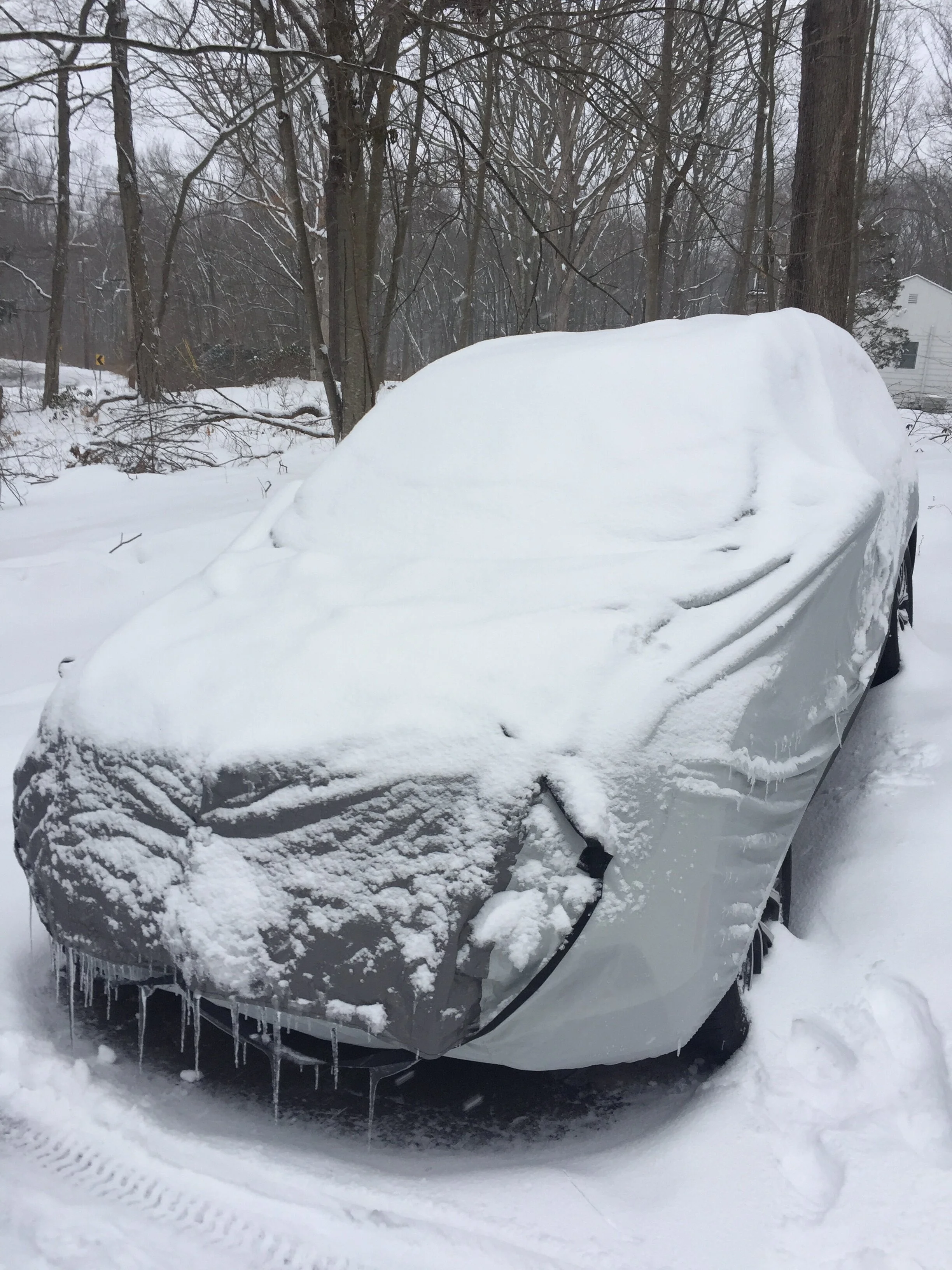 NeverScrape® (1 Cover & Free Bag)